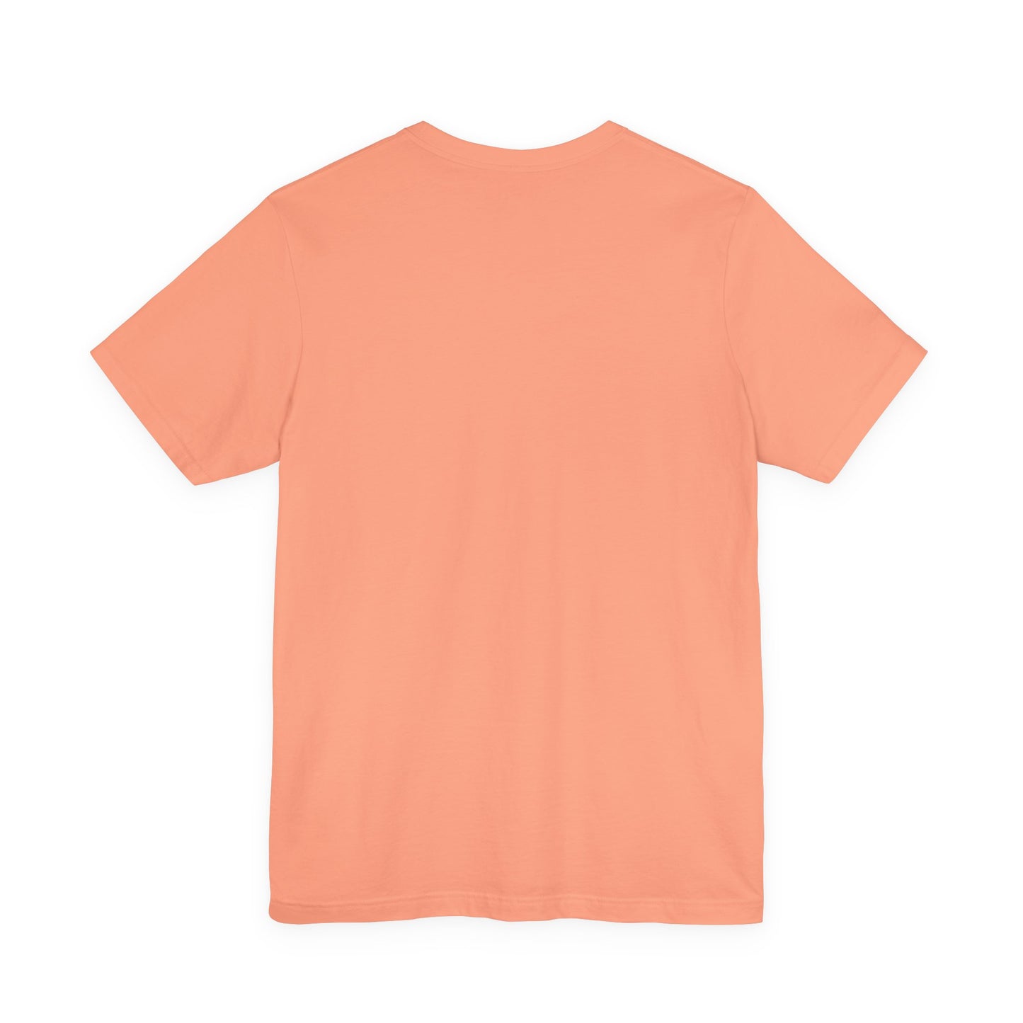 Retro Turtle Later Haters T-Shirt