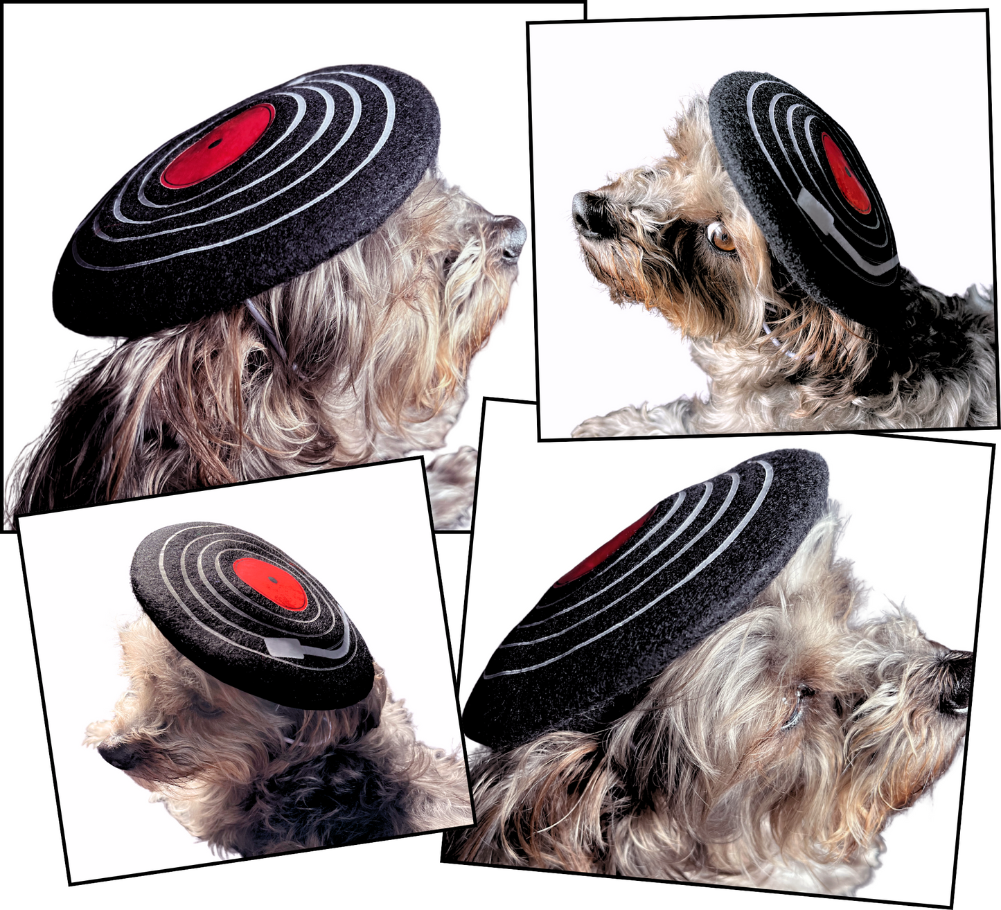 Cute Vinyl Record Wool Pet Berets