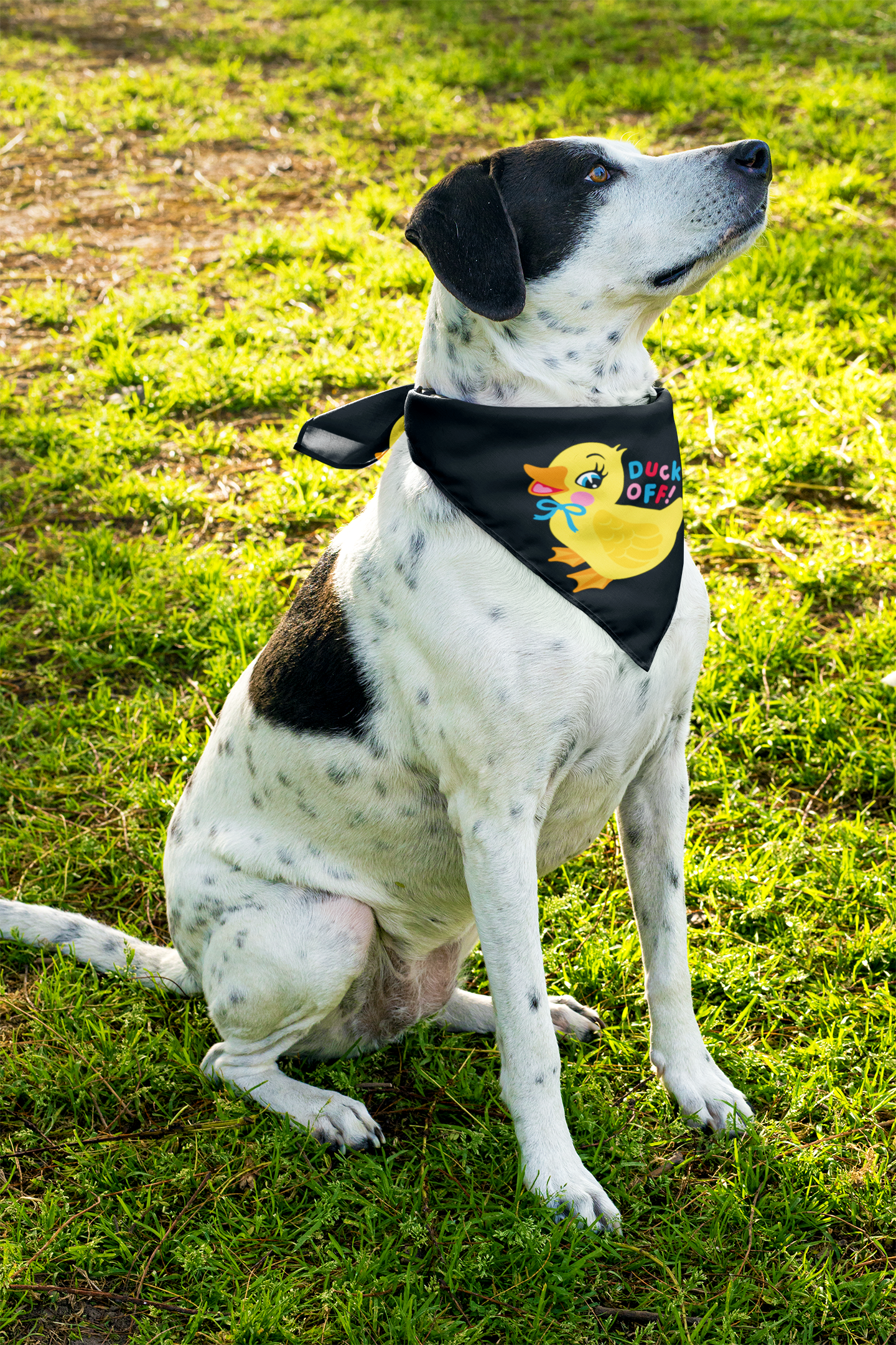 Duck Off Pet Bandana
